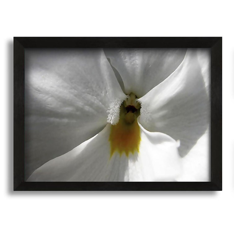 Rosalind Wheeler Just A Hint Of Yellow Single Picture Frame Graphic